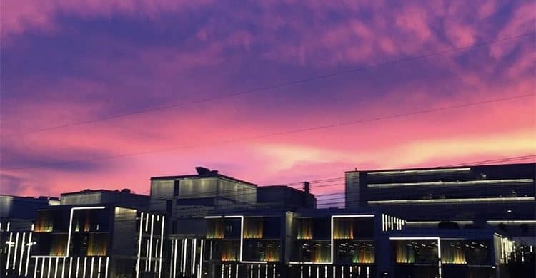 Temmuz Özyeğin TRACE Sınav Soruları? – Özyeğin Üniversitesi Hazırlık Atlama