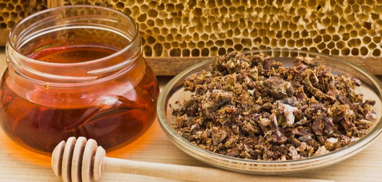 beneficios da propolis para aumentar sistema imunologico | Dicas de Saúde beneficios da propolis para aumentar sistema imunologico