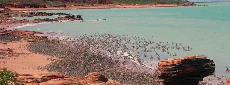 Broome Bird Obersavtory