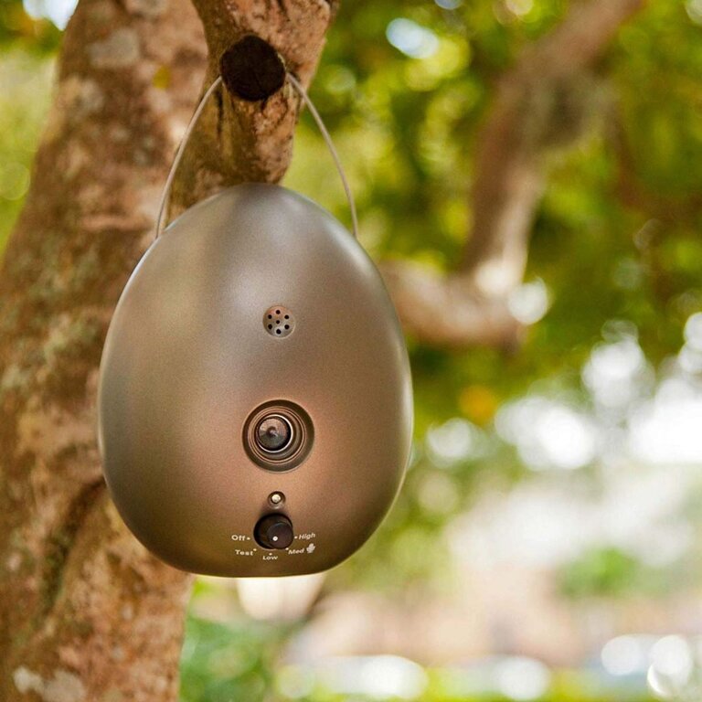 Sunbeam Sonic Egg Bark Control Device on tree