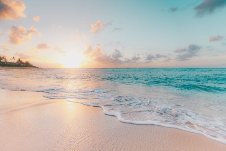 Rejse til Hawaii