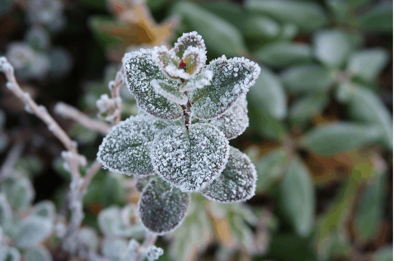 December Mindfulness, Meditation, and Technology Roundup