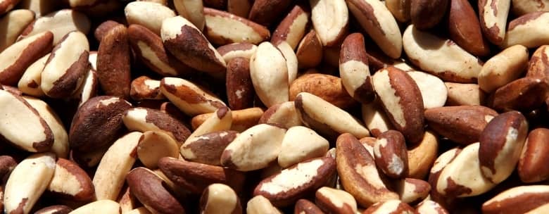 (Very) rich in magnesium Brazil nuts magnesium