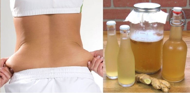 gengibre para perder a barriga e melhorar imunidade | Dicas de Saúde gengibre para perder a barriga e melhorar imunidade