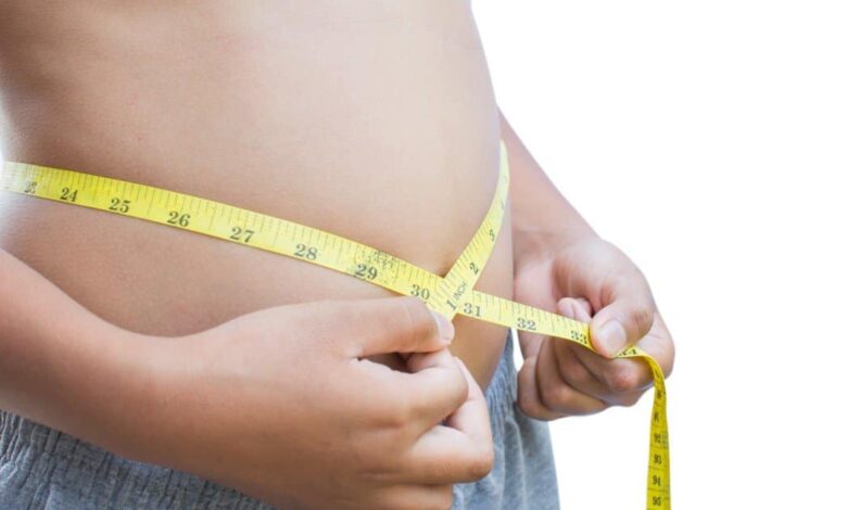 O básico para perder barriga perder barriga