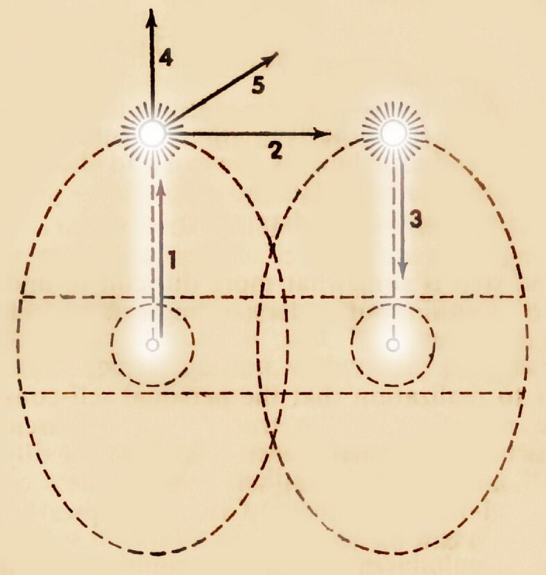 Assagiolis ovaldiagram i udveksling Assagiolis ovaldiagram i udveksling