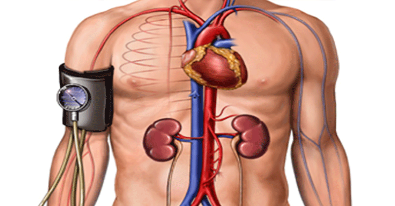 pressão arterial | Dicas de Saúde pressão arterial