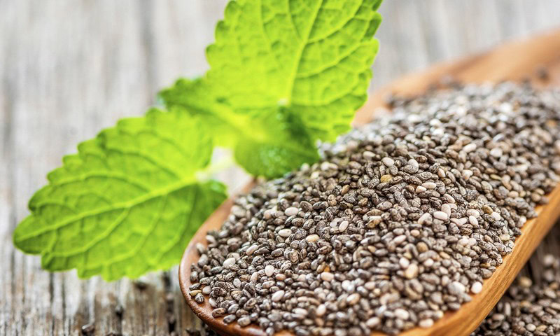 Chia-chia | Dicas de Saúde