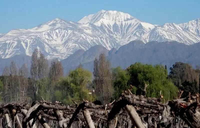 Vinícola Nieto Senetiner, Mendoza Vinícola Nieto Senetiner, Mendoza