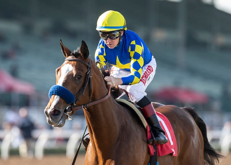2020 Preakness Trifecta Picks - Authentic