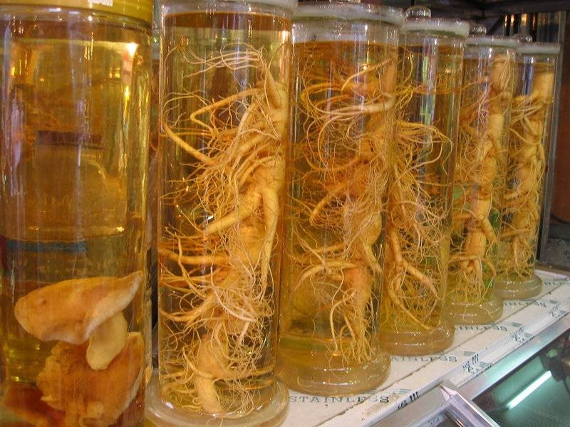 Chá de ginseng | Dicas de Saúde