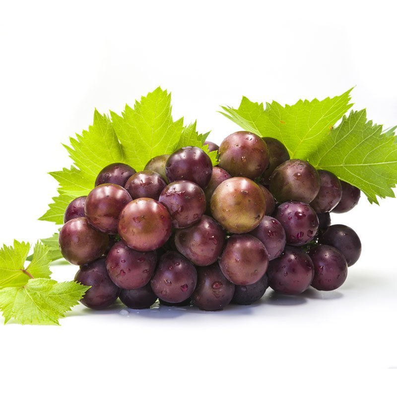 Vino-Rosso-Puglia Vino Rosso Uva Pugliese