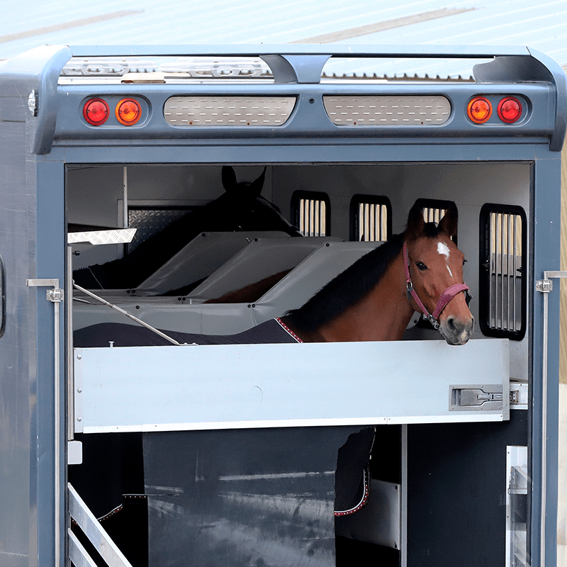 Tilbud-på-Hestetransport Tilbud på Hestetransport