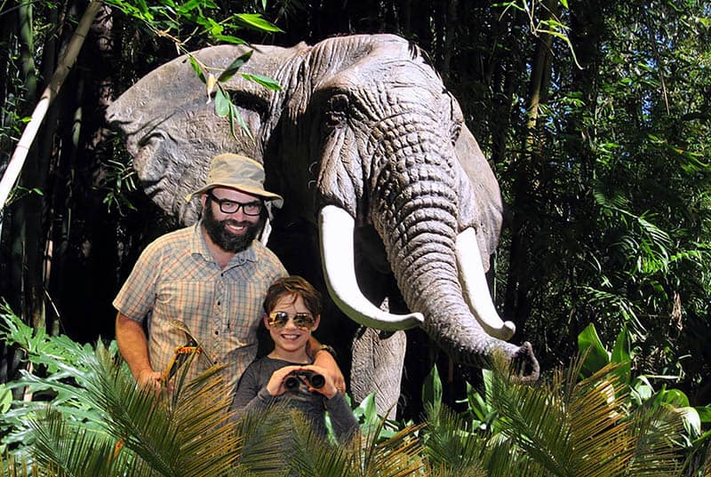 A Miami Green Screen Photo Booth at Jungle Island A Miami green screen photo booth at Jungle Island with an elephant as a background