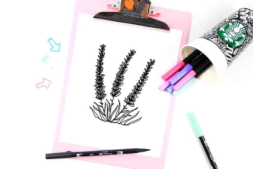 50 Best Flower Drawing Tutorials To Embellish Your Pages