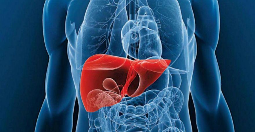 Alimentos que Intoxicam o Corpo | Dicas de Saúde