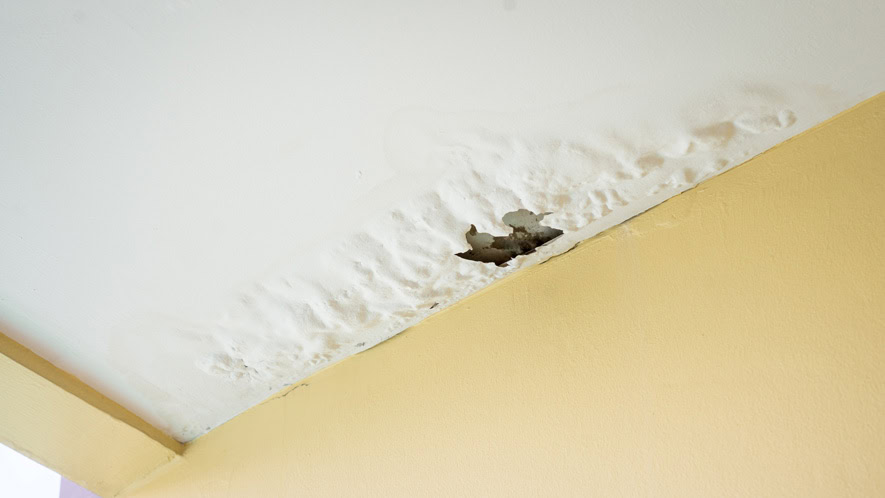 Ceiling Leak Detection Repair Company Essex S East