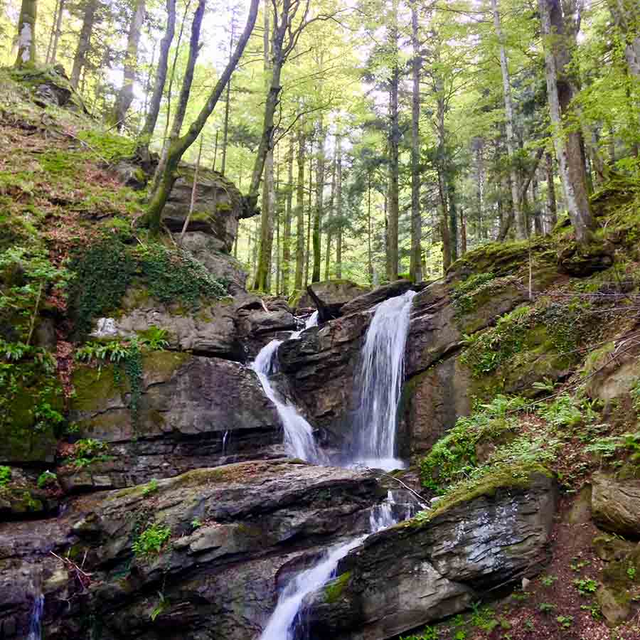 trekking foreste casentinesi