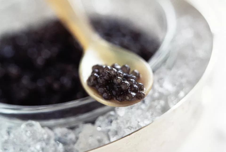 Caviar Kaspia chega a São Paulo Caviar Kaspia chega a São Paulo