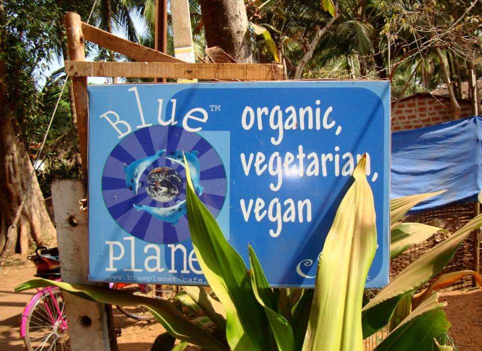 blue planet goa