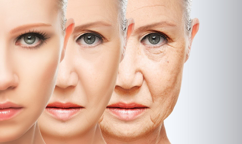 Óleo de Buriti Para Beleza | Dicas de Saúde