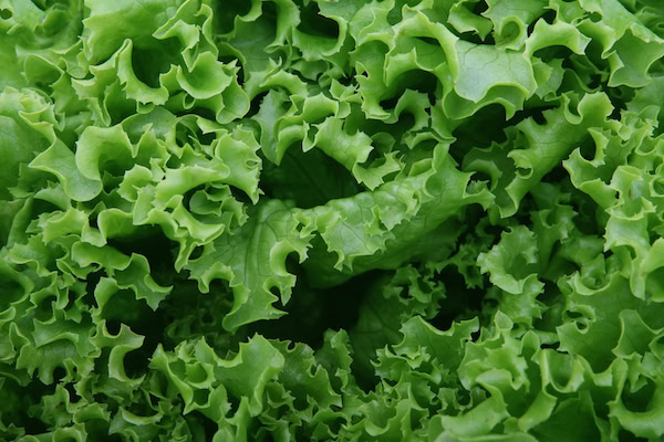Beyond Spinach - 5 Greens To Perk You & Your Smoothies Up | RachaelRoehmholdt.com