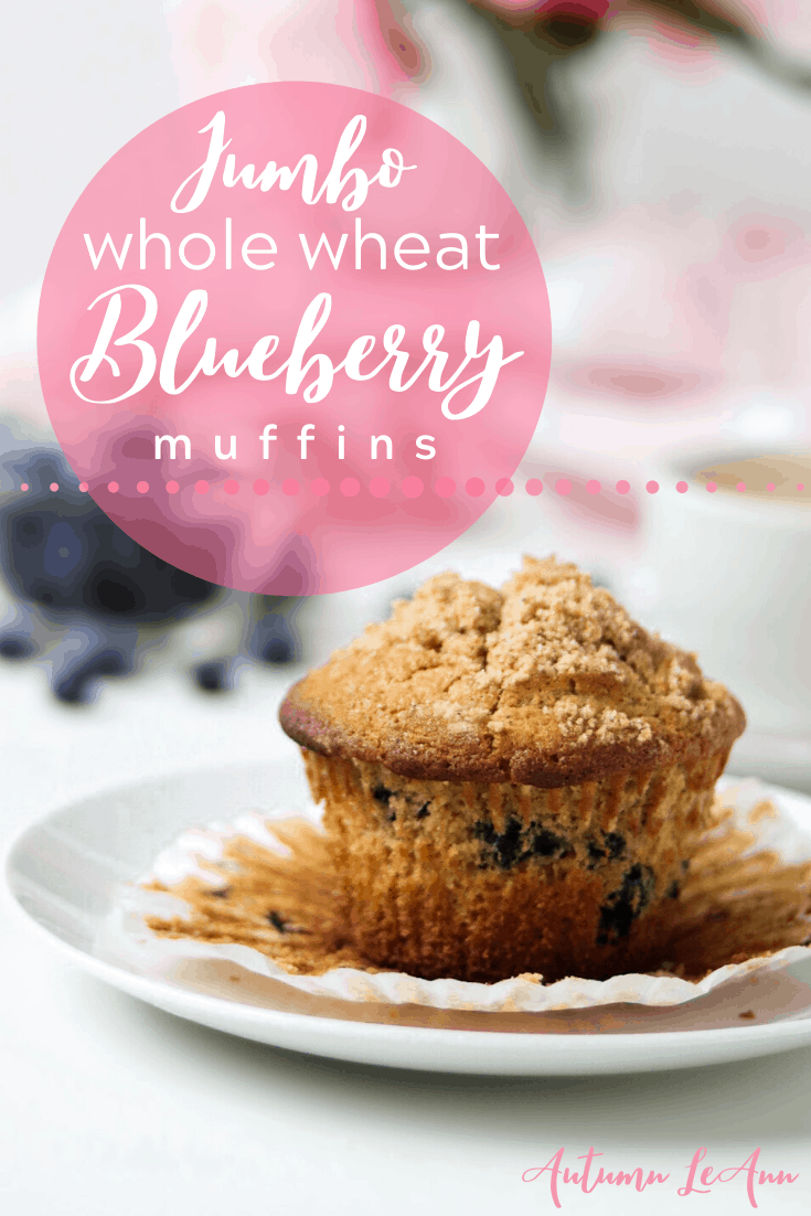 blueberrymuffinpin1