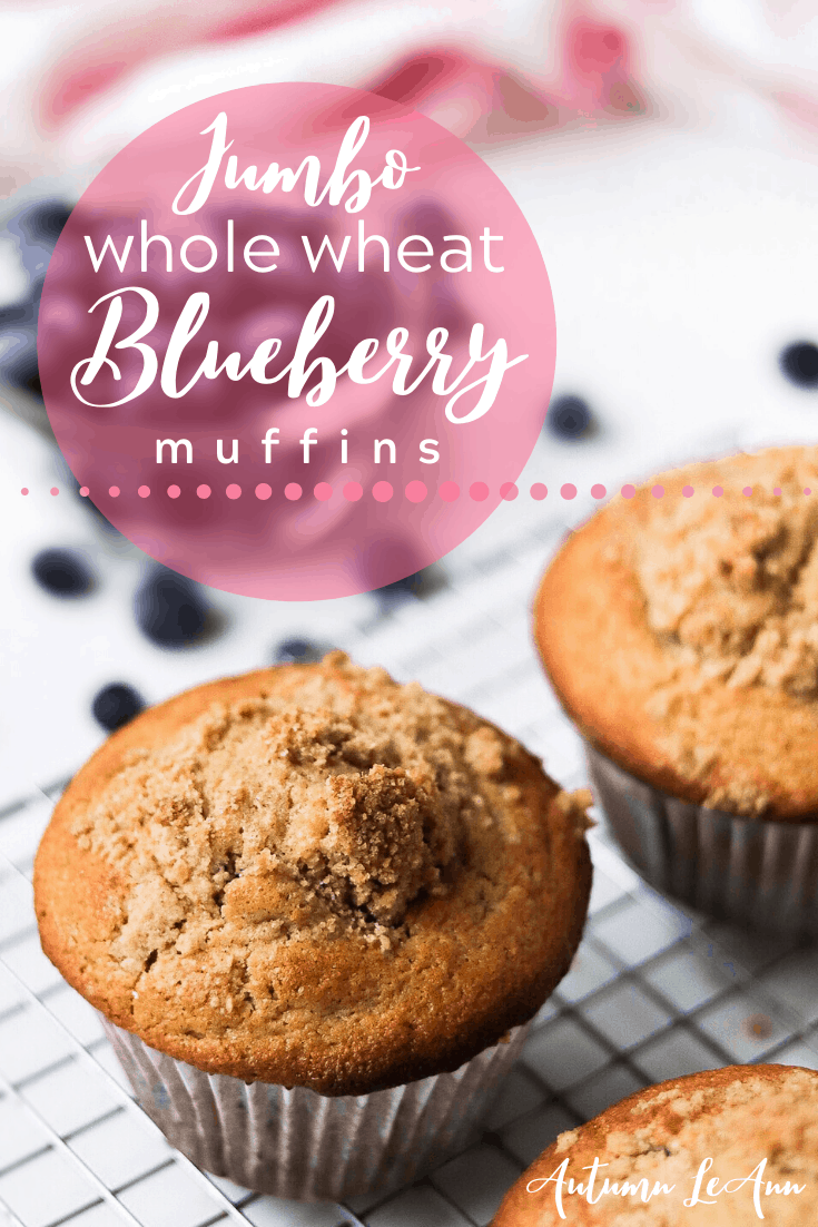 blueberrymuffinpin2