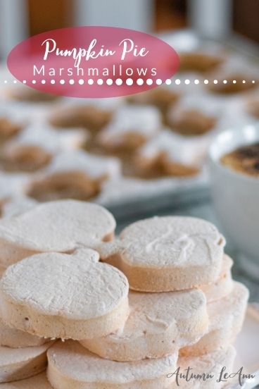 pumpkinpiemarshmallowpi1