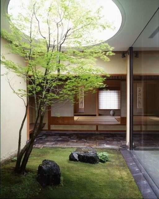 desain taman indoor yang cantik desain taman indoor yang cantik