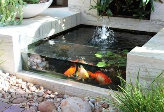 model kolam ikan hias sederhana unik model kolam ikan hias sederhana unik