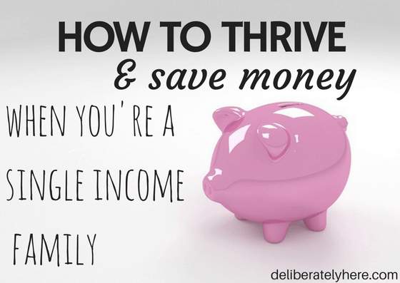 11 Ways to Thrive as a Single Income Family