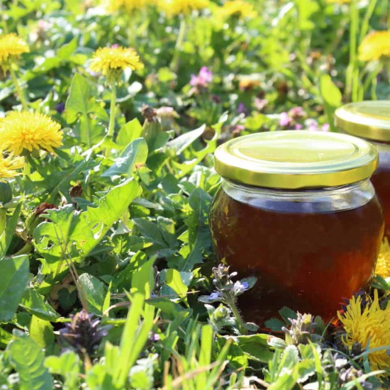 regratov_med_recept_extraveganza_ regratov_med_recept_extraveganza_