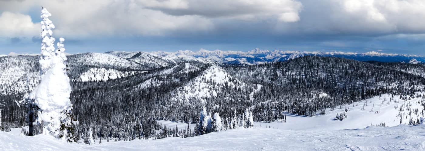 Whitefish Whitefish