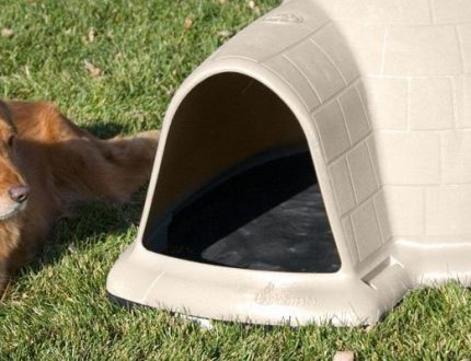 best igloo dog house