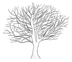 Family Tree