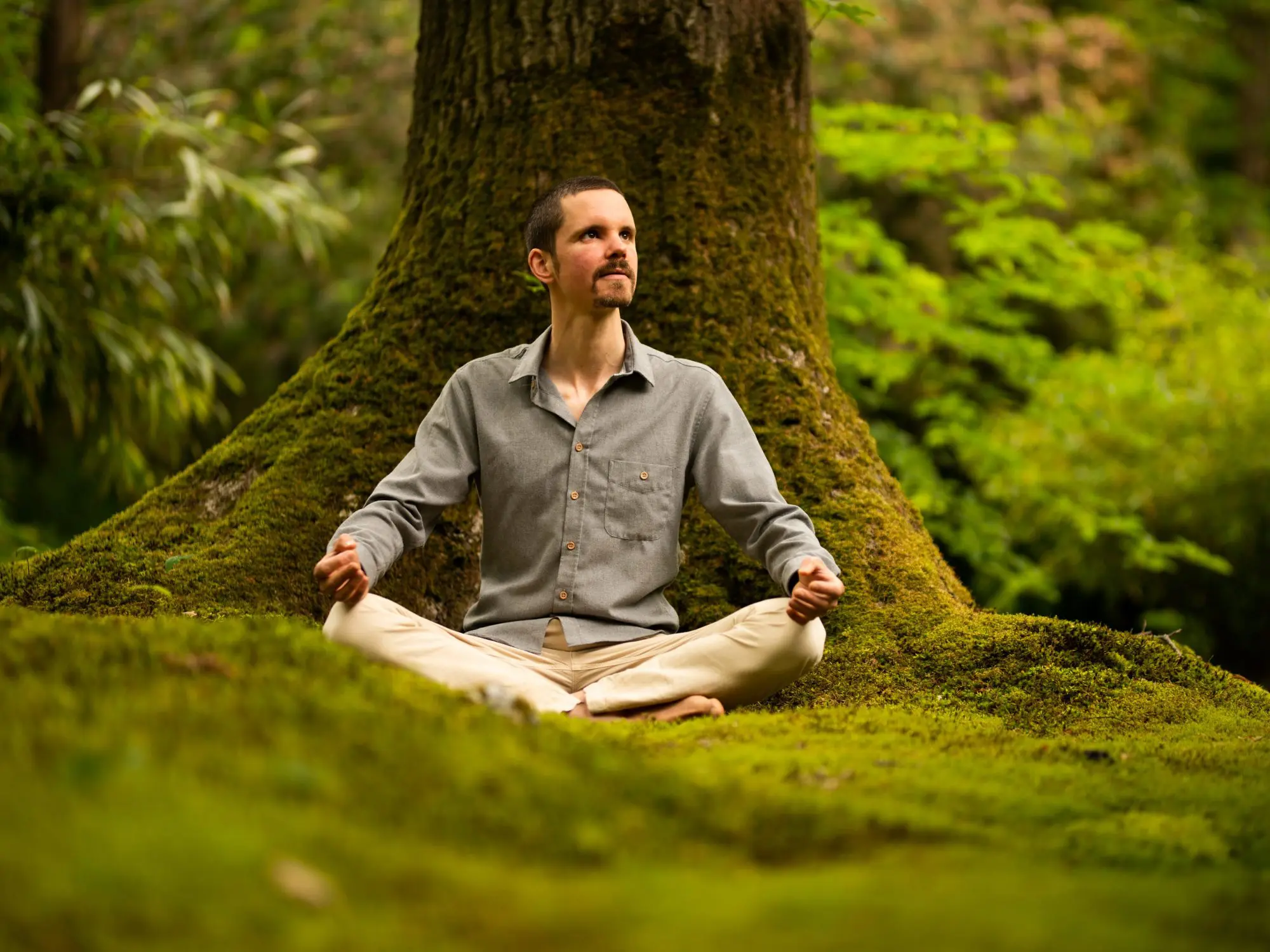 Trainer in meditatiehouding zittend voor een boom: Wat kan mindfulnesstraining je brengen?