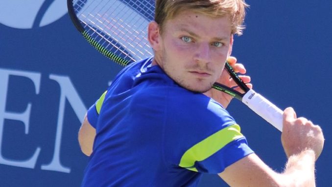 Goffin V Sinner Live Streaming Watch Rotterdam Open Live