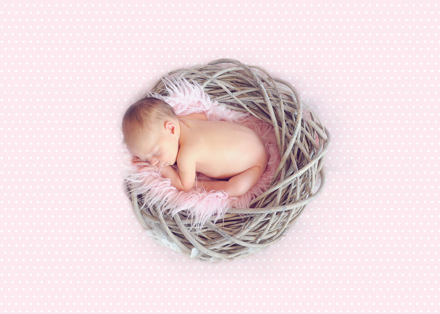 mom and baby project by vandalia studio