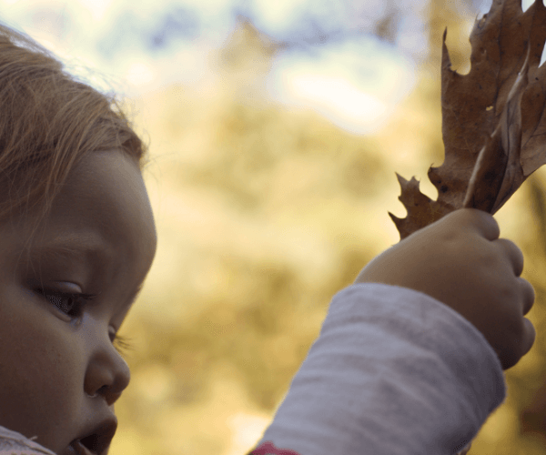 Fun Outdoor Activity: Identifying Nature Patterns