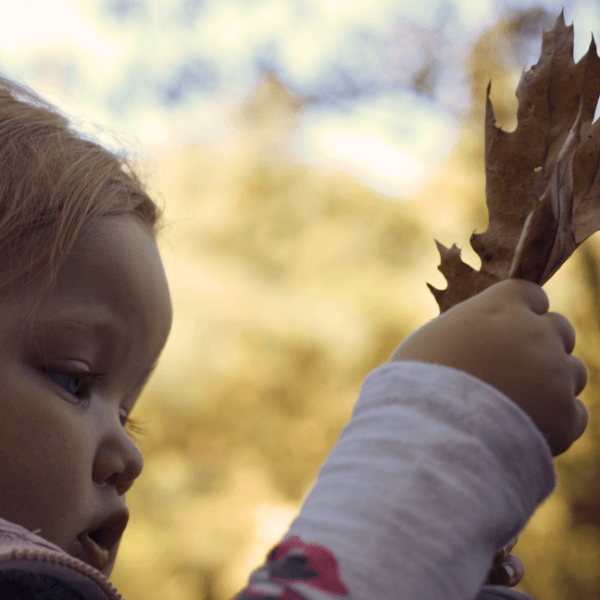 Fun Outdoor Activity: Identifying Nature Patterns