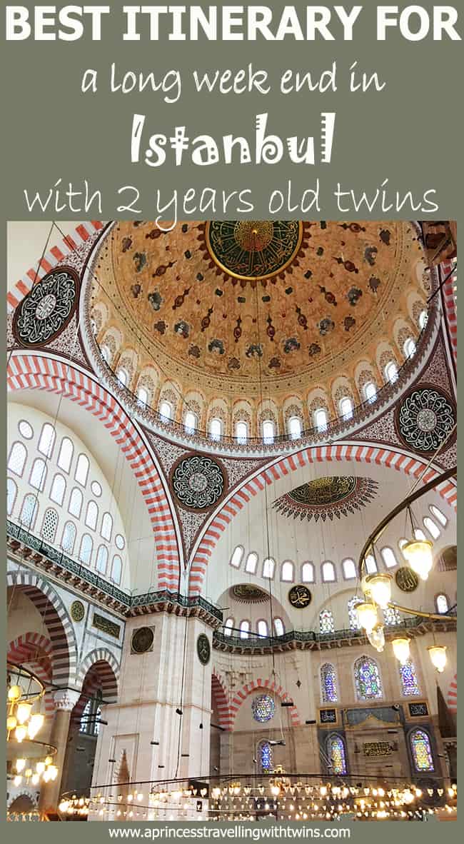 What to do with twins toddlers in Istanbul. Detailed plan to organize your time and useful info about mistakes to avoid
