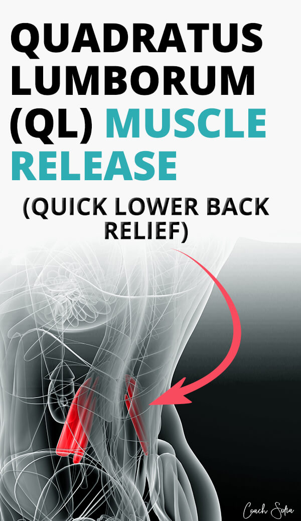 Quadratus Lumborum Muscle Exercises