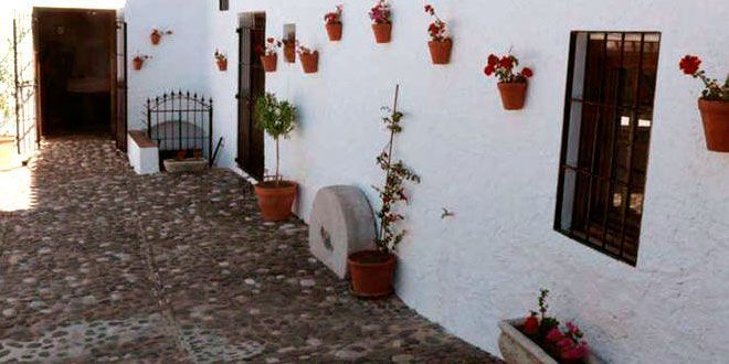 Museo del aceite