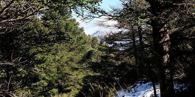 Yunquera - entorno natural