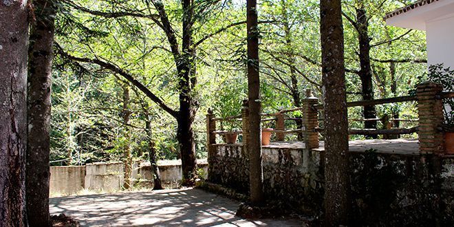 Sendero PR-A 278 Juanar-El Pozuelo