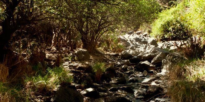 Arroyo de Los Caballos