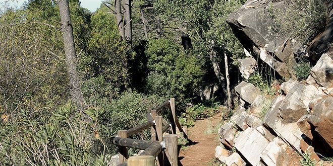 Sendero del Azud del Guadalmina - Cañada de Juan Miná