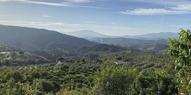 Finca Canela - Casarabonela