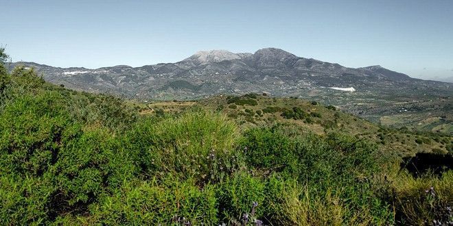 puerto alto guaro